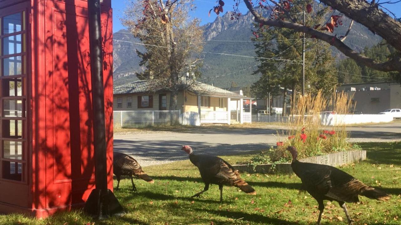 Piccadilly Motel Radium Hot Springs Kültér fotó