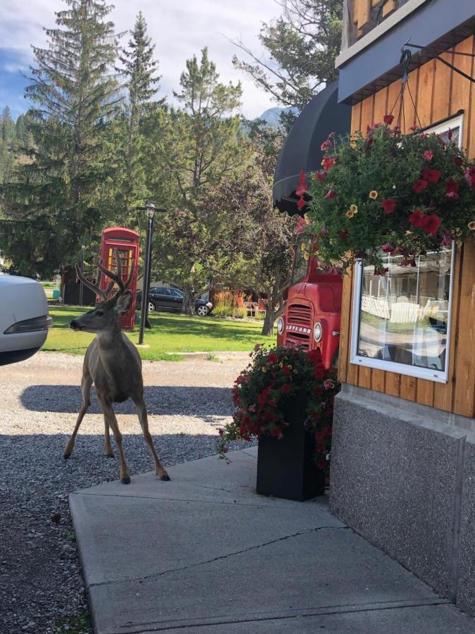 Piccadilly Motel Radium Hot Springs Kültér fotó